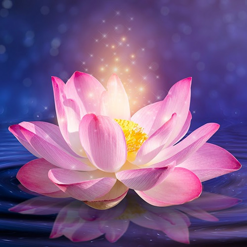 Divine Self Hypnosis ® Logo