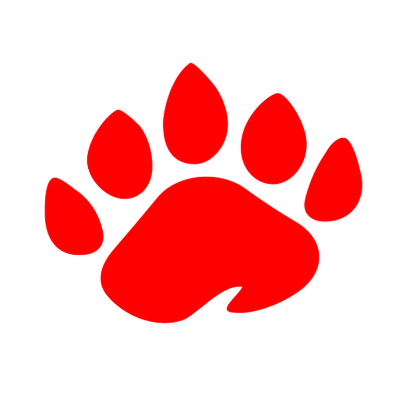 Broadfeet_Official