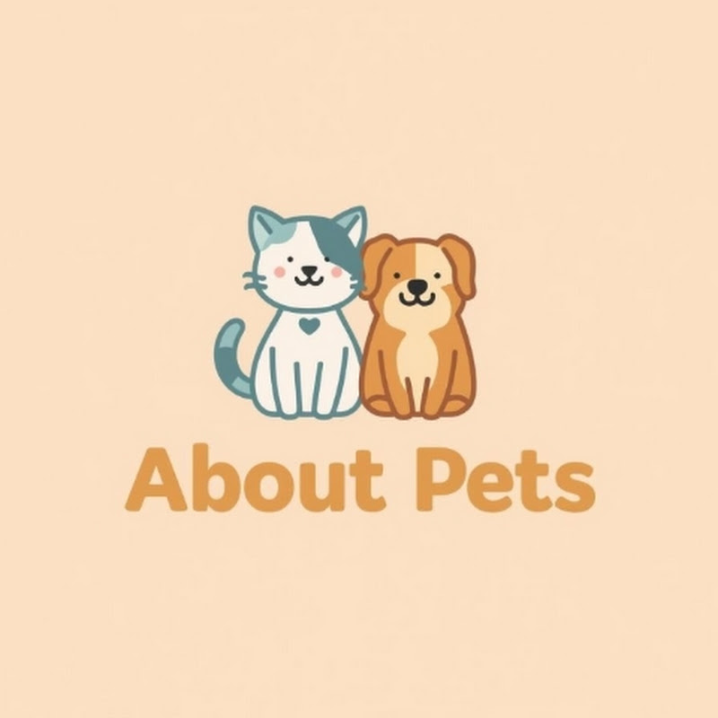 About Pets