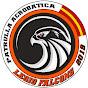 Legio Falcons Virtual Aerobatic Team logo
