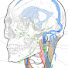tweypwWJqaU-channel-avatar-Cerebral Venous Outflow Disorders