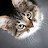 @Shohta_Ishikawa's avatar