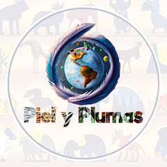Логотип каналу Piel y Plumas