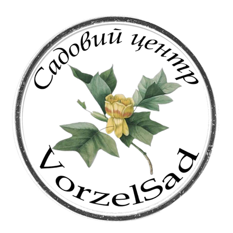 Vorzel Sad