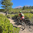 pw_UbPUW03w-channel-avatar-Lynn Baumgartner - Tahoe Fabulous