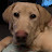 @WoodberryFarms Avatar