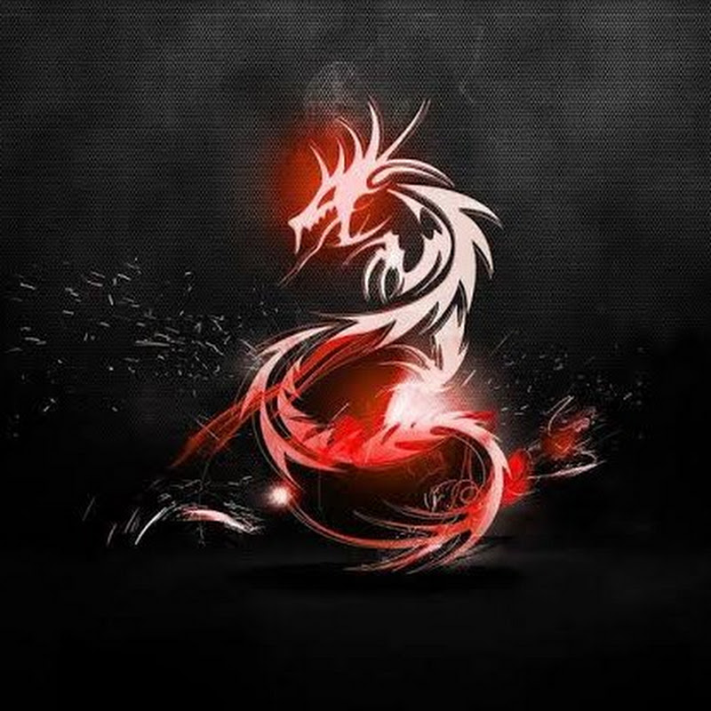 Hire Ms Vlogs — History & Culture YouTube creator for sponsorships