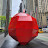 @JohnnyNY-u5i
