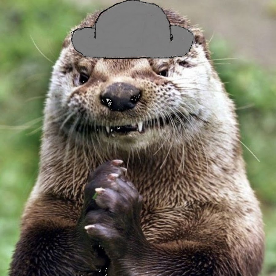 Otter in a Hat.