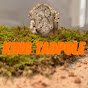 King Tadpole logo