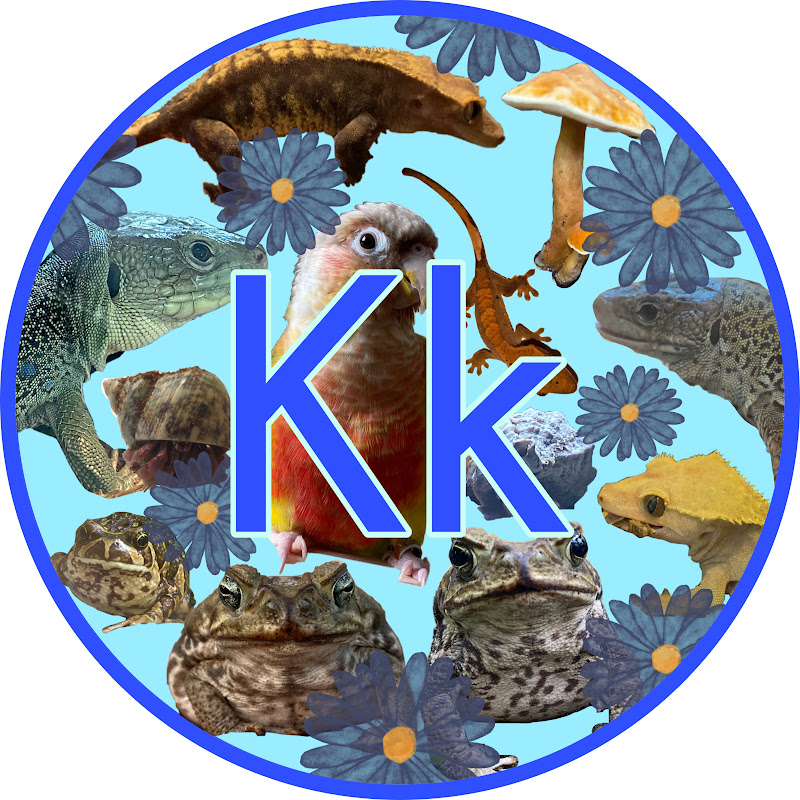 Kk Creatures icon