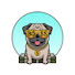 JlCVUyjN-wc-channel-avatar-Dog Boss