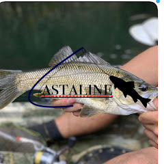 Castaline