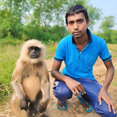 Channel thumbnail for JUGAL DREAMS