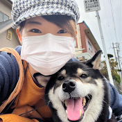 帶著柴犬移居日本