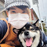 LS8IPuhbzis-channel-avatar-帶著柴犬移居日本