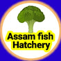 Assam Fish Hatchery