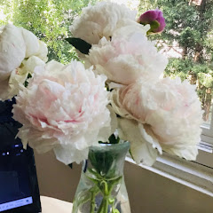 Sophie 股市人生アイコン画像