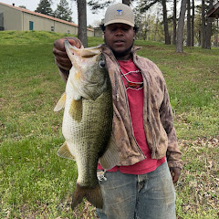 RAWBASSIN