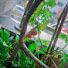 dCEw_YaQOpY-channel-avatar-Travel with Naved