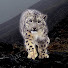 NsHwJq5qQBM-channel-avatar-Иван Усанов