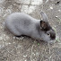 e89_lk_vo4A-channel-avatar-Matvey Baryshev