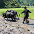 3WIA5h6MGsE-channel-avatar-Real Nepali Life