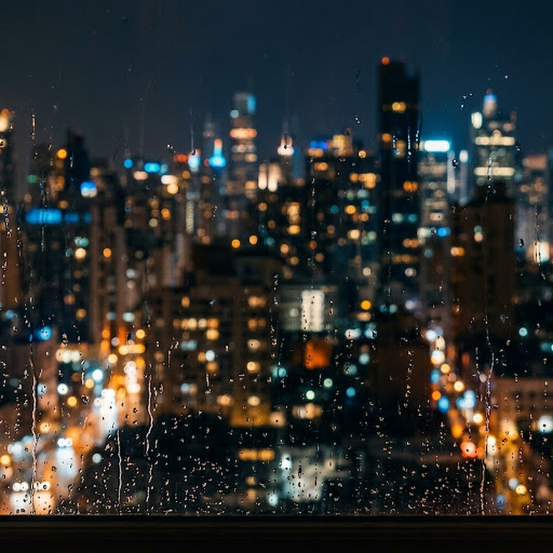 오늘, 나는 | ihavenoideawhatineedtodo.