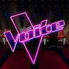What could The Voice Australia buy with $1.58 million?