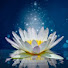 M2AUmBL12fI-channel-avatar-Источник Познания