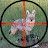 Coyote Hunts Northwest