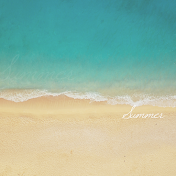 ビデオファーム