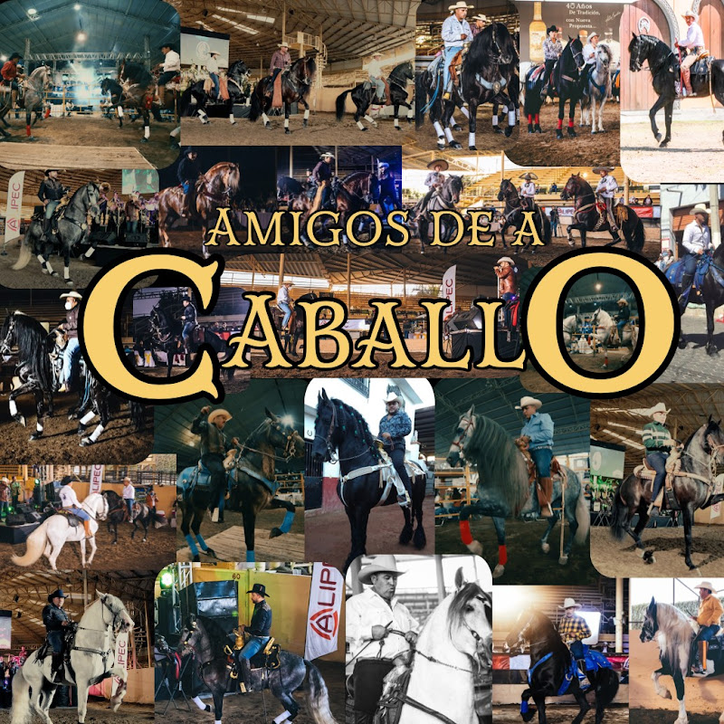Amigos de a caballo VIP