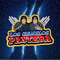 LOS HERMANOS PANTERA 