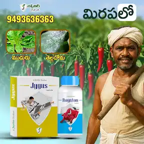 Mohan Agri Mall - Telugu YouTube channel