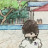 @graiionnk.8261's avatar