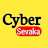 Cyber sevaka