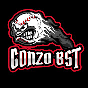 Gonzo Baseball Stadium Tours