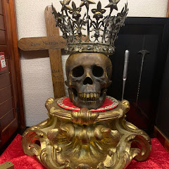 境界科学調査機構【一夜パンデミック】