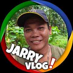 Jarry Vlog net worth