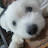 @김맹구임팩트