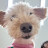 @토파즈블루
