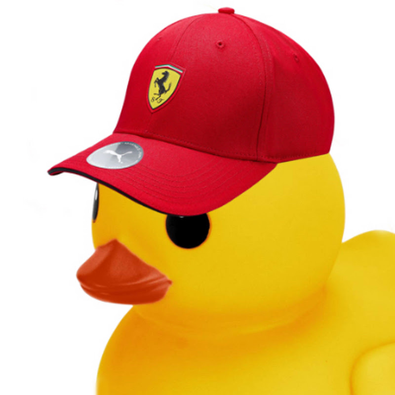 Formula Duck profile avatar