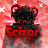 Scizor gaming