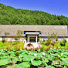 Channel Image