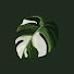 eplOAHRCpCo-channel-avatar-Plant Protocols