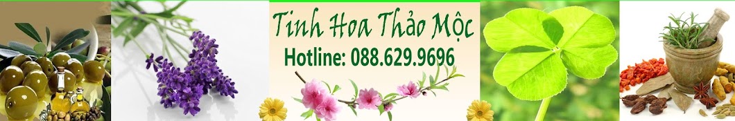 Tinh Hoa Tháº£o Má»™c YouTube channel avatar