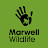 Marwell Wildlife