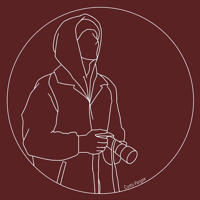 Curtis Snapshot Logo