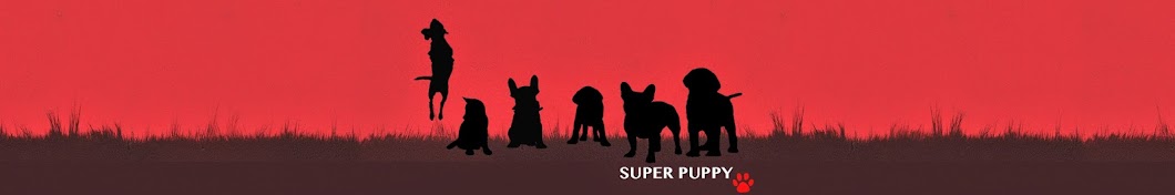 Super Puppy YouTube-Kanal-Avatar